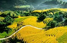 2 Days 1 Night Sapa Trekking Homestay from Hanoi