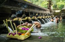 Ubud Highlights Rice Terraces, Temple, Waterfall & Monkeys forest