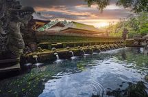 Ubud Highlights Rice Terraces, Temple, Waterfall & Monkeys forest