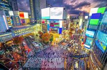 Private Tokyo Tour with English Speaking Guide 