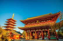 Private Tokyo Tour with English Speaking Guide 
