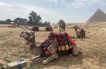 Private guided tour to Giza Pyramids Sphinx Memphis and Saqqara