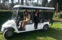 Tour at Villa Borghese ,Hotel pick-up, custom timetable