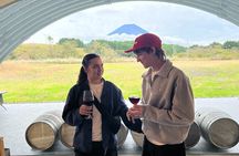 Private Fuji Half-day Car Tour with Hotel Pickup and Local Guide