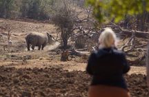 Full day Eswatini (Swaziland) Country Tour from Maputo