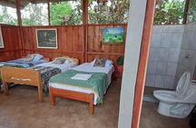 3/Days 2 Nights Amazon Rainforest Wildlife 270 usd