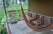 3/Days 2 Nights Amazon Rainforest Wildlife 270 usd