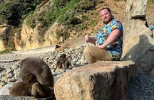 West IZU Uncovered Tour Cave Cruise and Monkey Encounter