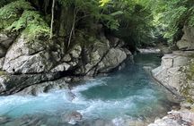 West IZU Uncovered Tour Cave Cruise and Monkey Encounter