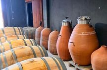 Tarragona Private Food and Wine Tour from Barcelona
