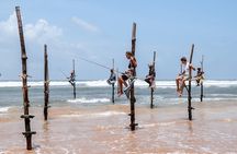 Southern Sri Lanka Day tour from Hambantota