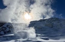 Yellowstone Winter Wildlife & Snowshoe Tour | PRIVATE