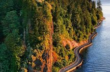 Explore Stanley Park on Electric Scooters