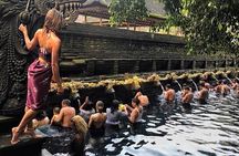 Bali Customized Day Tour With English Speaking Driver