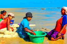 Customized 8 Days Madagascar Trip for Whale Watching