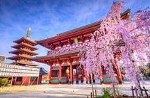Private Tokyo Tour with English Speaking Guide 
