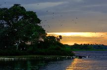 Bundala National Park All Inclusive Safari Tour from Hambantota