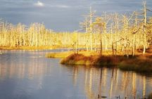 Cenu Bog Nature Trail near Riga Away From Crowded Trails