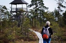 Cenu Bog Nature Trail near Riga Away From Crowded Trails