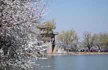 Private Forbidden City and Tiananmen with Summer Palace Tour