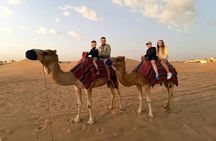 Private Red Dunes Evening Safari + BBQ Dinner + 5 Live Shows
