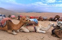 Atlas Tour: Imlil-Meals-Chameau Waterfall from Marrakech