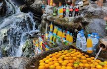 Atlas Adventure: Waterfalls, Lunch & Camel Tour