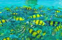 Longtail boat: Krabi 7 Islands Sunset tour Snorkeling