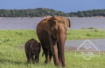 Private Elephant Safari Tour at Hurulu Eco Park
