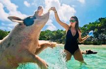 Exuma Island and Cays Tour