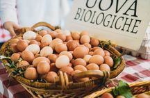 Florence Market & Cooking Class: Small Group Experience