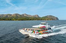 Dolphin Adventure: Fast Boat Dolphin Watching in Mallorca