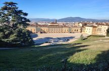 Florence Pitti Palace and Boboli Gardens Walking Tour