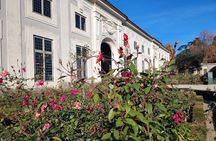 Florence Pitti Palace and Boboli Gardens Walking Tour