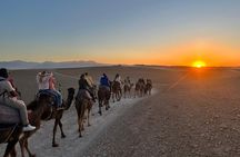 Marrakech: dinner in Agafay desert with a fire show & camel ride