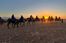 Marrakech: dinner in Agafay desert with a fire show & camel ride