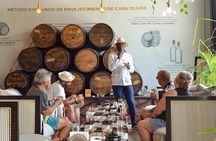 Punta Cana Elite Cigar & Rum Pairing Experience Taste of Luxury