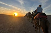 Marrakech: dinner in Agafay desert with a fire show & camel ride