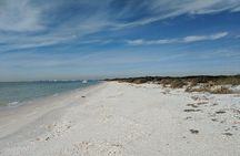 Shell Key and Dolphin Adventure Private Tour in Florida
