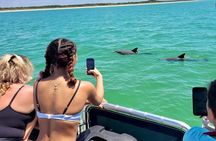 2.5 Hour Shell Key Island Adventure Including Dolphins And Shells