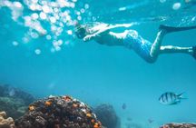 Nha Trang Half-Day Snorkeling Adventure at Marine Park with BBQ