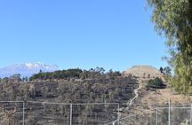 From Puebla : Private Tour to Tlaxcala and Cacaxtla All Inclusive