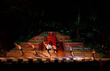 Night Rhythms - Alma - Show and Dinner in Puerto Vallarta