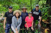 Hidden Waterfall Hike From Panama City