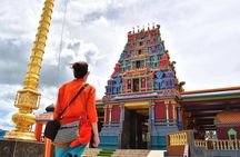 Discover Fiji's Key Attractions in Nadi for a Half-Day Visit