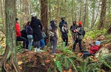 Wild Mushroom Foraging Class