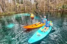 Silver Springs Premium Florida Wildlife Experience! 