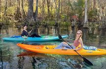 Silver Springs Premium Florida Wildlife Experience! 