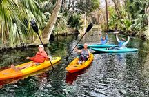 Silver Springs Premium Florida Wildlife Experience! 