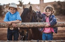 1-Hour Western Horse Ride